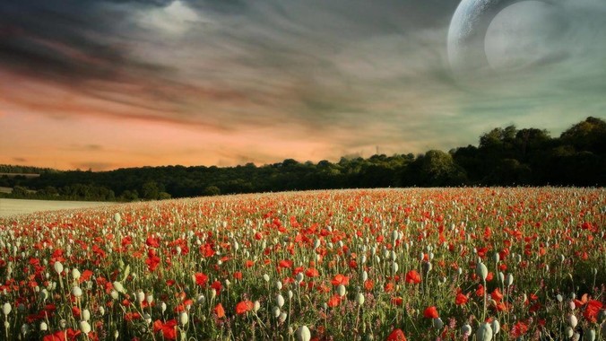 为什么广东女生大多是素颜？